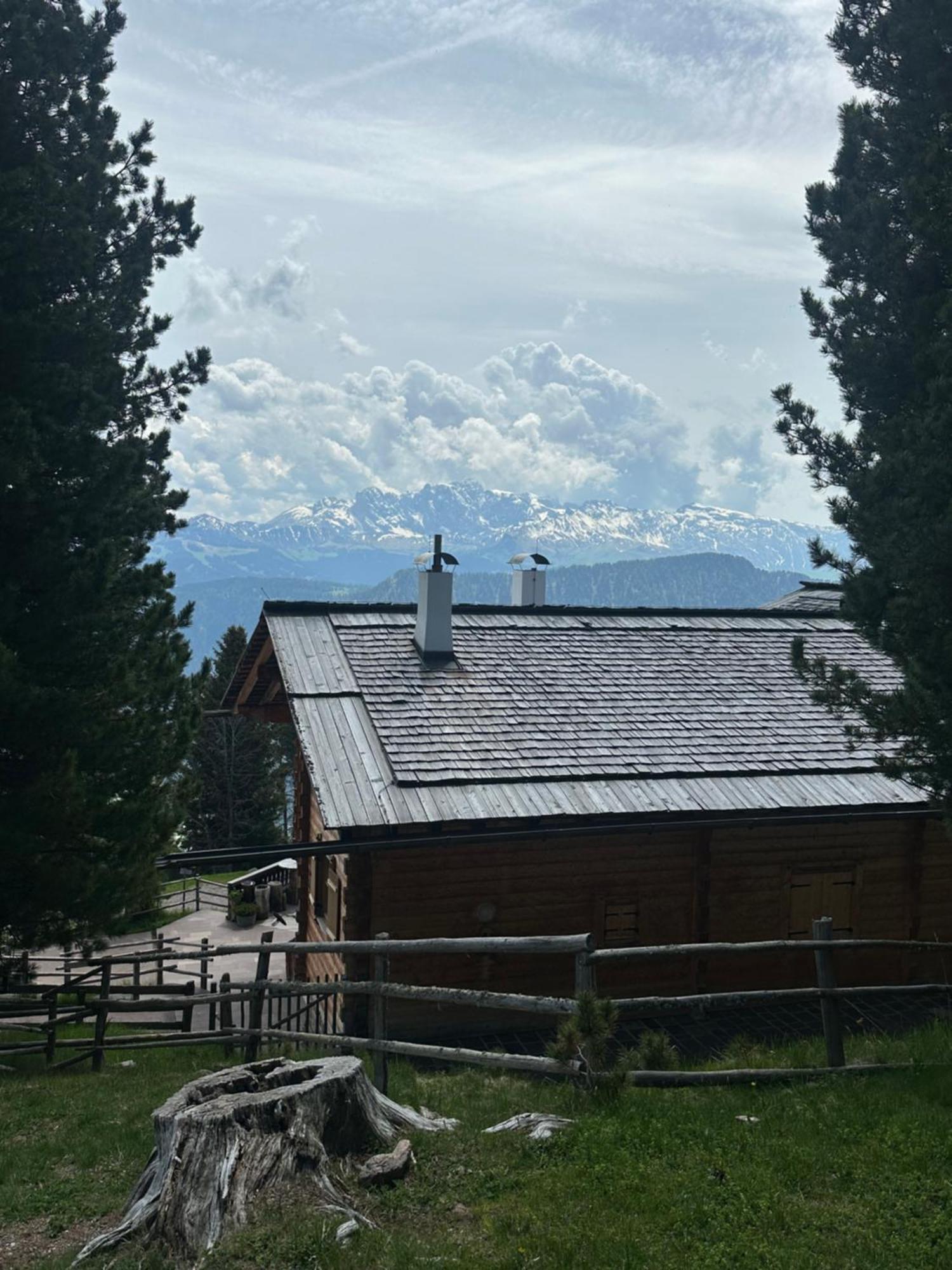 Chalet Da Mont Resciesa Ortisei Exteriör bild
