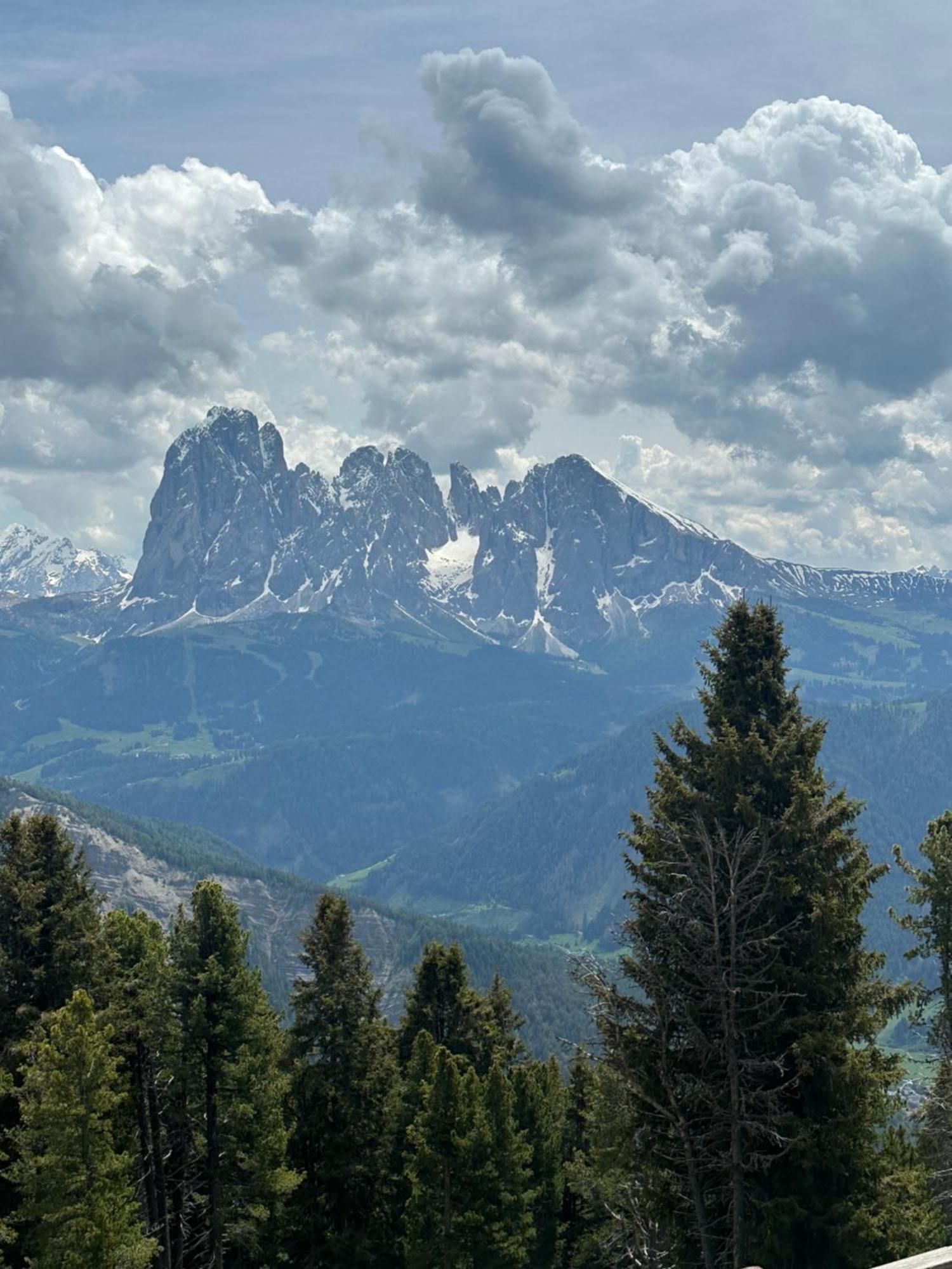 Chalet Da Mont Resciesa Ortisei Exteriör bild